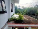 IMG-20250711-WA0011